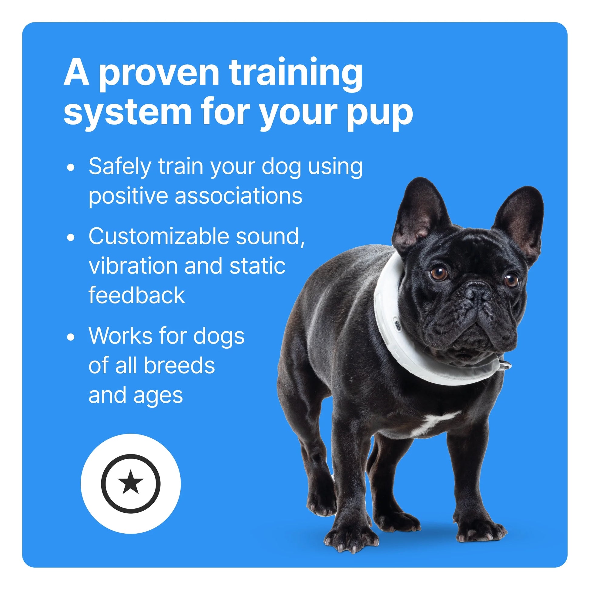 3 - Wireless GPS Dog Fence & Training Collar with Real-Time Tracking, Waterproof