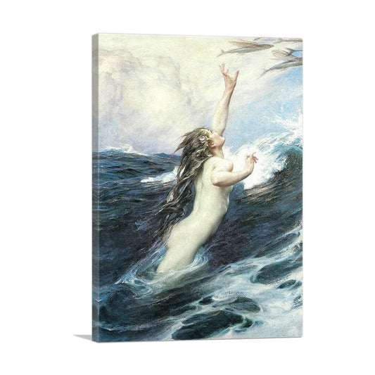 Flying Fish 1910